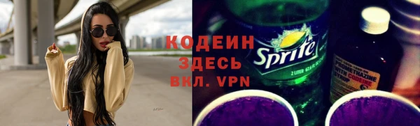 apvp Алзамай