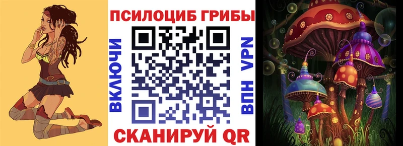 Галлюциногенные грибы Psilocybe  Куртамыш 